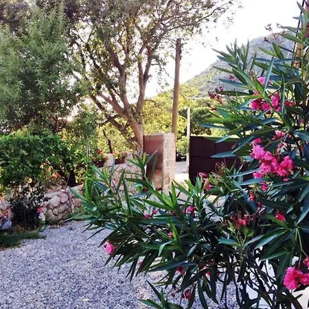 Holiday home In Starigrad-paklenica 34262 Starigrad Paklenica
